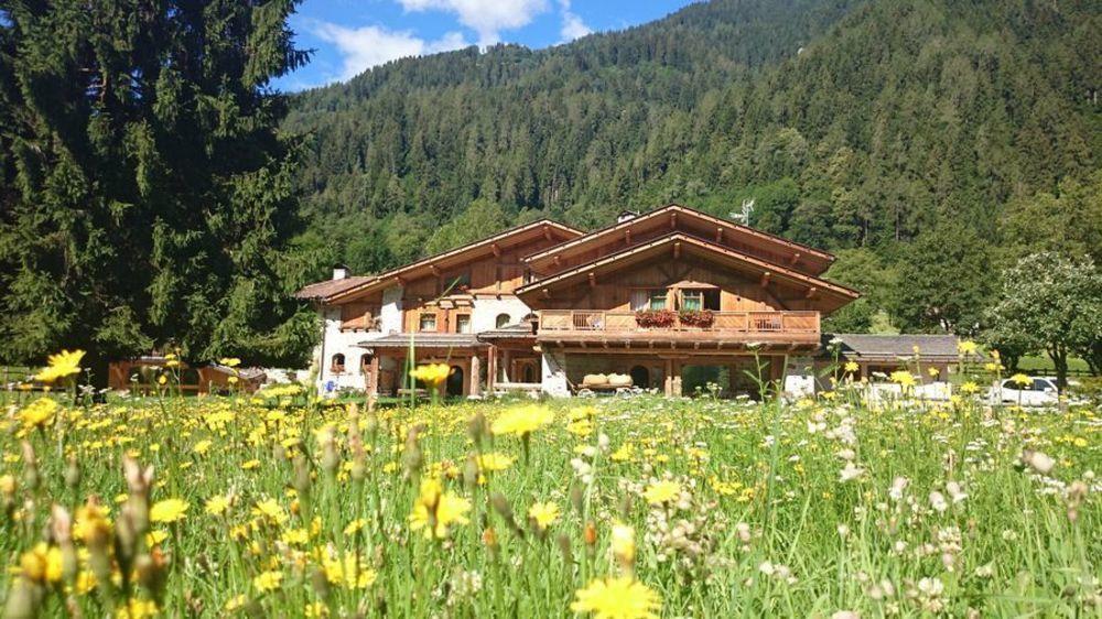 Hotel Maso Del Brenta Caderzone Exterior foto