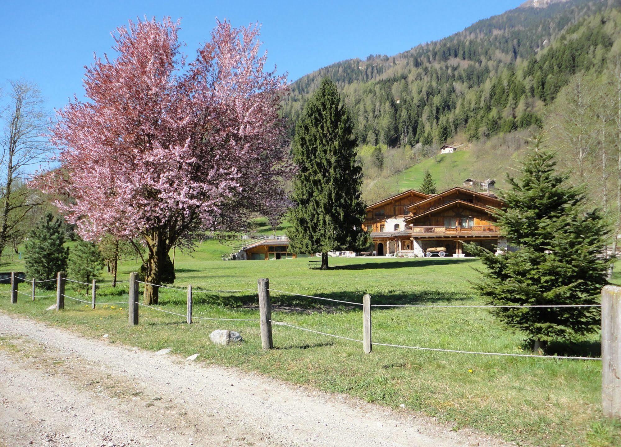 Hotel Maso Del Brenta Caderzone Exterior foto
