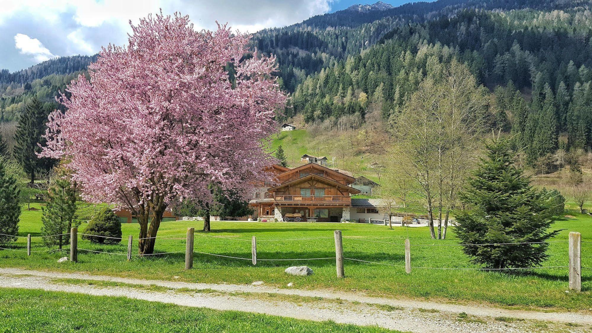 Hotel Maso Del Brenta Caderzone Exterior foto